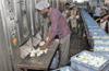 Milk surplus from DK, Udupi to go to schoolchildren in Andhra Pradesh